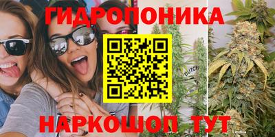 мяу мяу мука Анапа