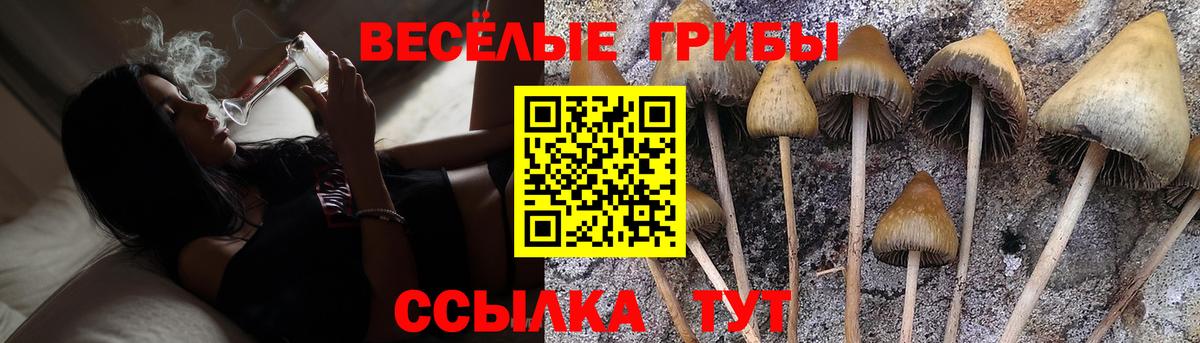 Галлюциногенные грибы MAGIC MUSHROOMS Краснокаменск
