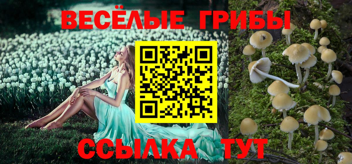 Краснокаменск  Псилоцибиновые грибы прущие грибы  что такое наркотик  Вход с VPN 